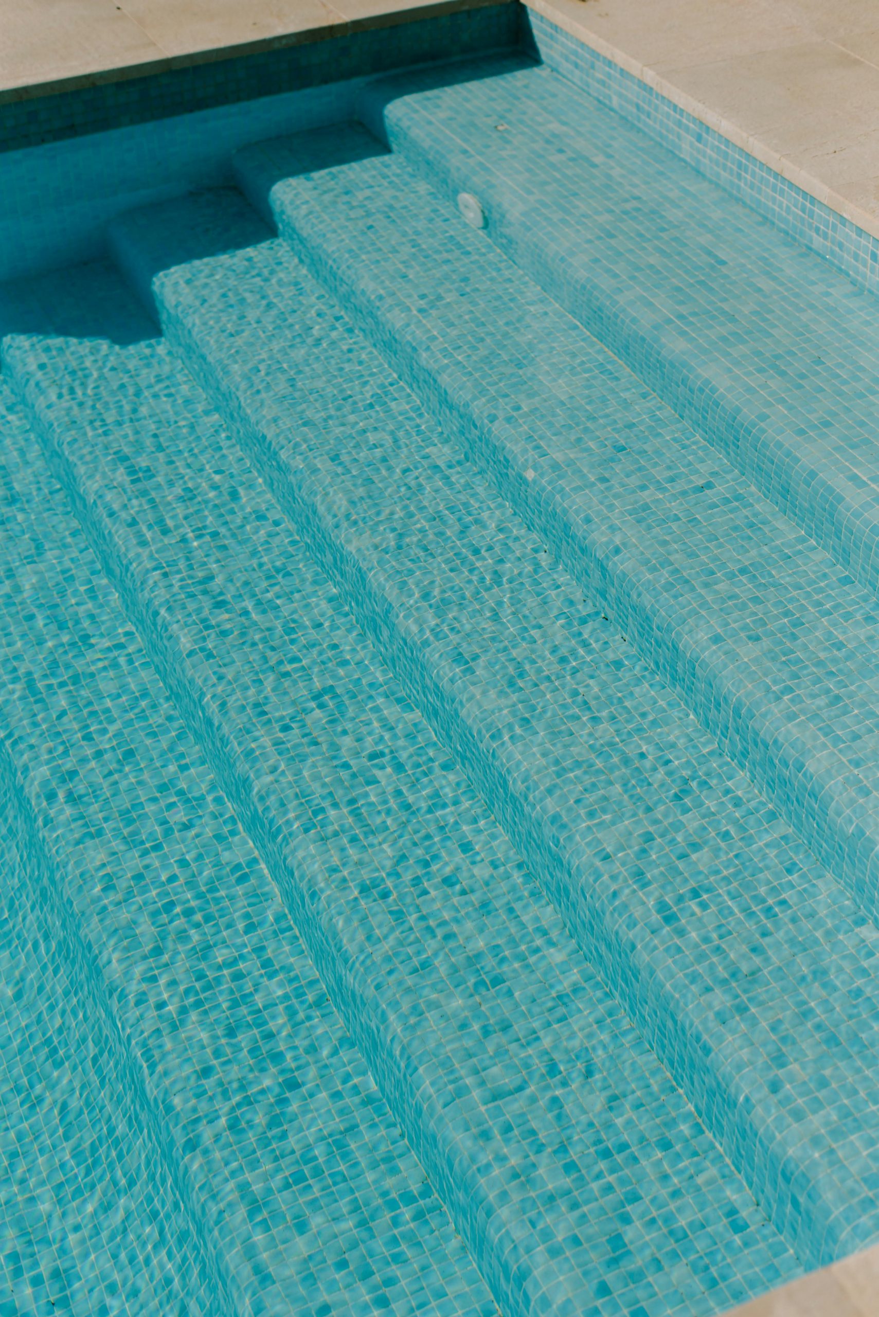 pexels-alinaskazka-15780458
